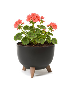 Cuenco para plantas redondo M Ø29 × 23 cm mate, 9,3 L – Negro