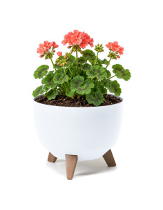 Ciotola per piante rotonda M Ø29 × 23 cm opaca, 9,3 L – Bianco