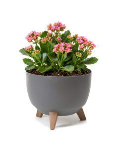 Vasque ronde S Ø24 × 20 cm mate, 5,1 L – Anthracite