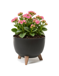 Vasque ronde S Ø24 × 20 cm mate, 5,1 L – Noir