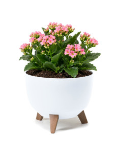 Plantenschaal rond S Ø24 × 20 cm mat, 5,1 L – Wit