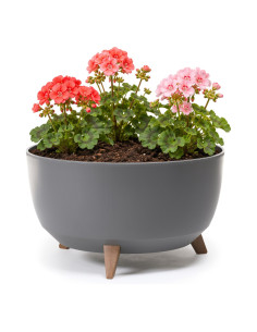 Pflanzschale rund XL Ø47 × 27 cm Matt, 31,5 L – Anthrazit
