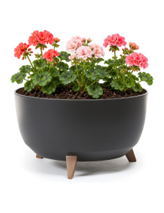 Ciotola per piante rotonda XL Ø47 × 27 cm opaca, 31,5 L – Nero