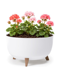 Cuenco para plantas redondo XL Ø47 × 27 cm mate, 31,5 L – Blanco