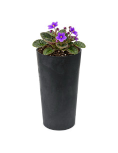 Blumenkübel rund S hoch Ø14 × 26 cm Beton-Optik, 2,9 L – Beton Schwarz