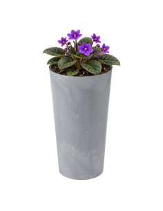 Macetero redondo S alto Ø14 × 26 cm efecto hormigón, 2,9 L – Gris hormigón