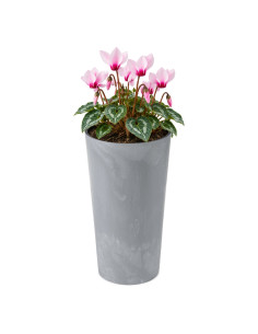 Macetero redondo M alto Ø20 × 37 cm efecto hormigón, 8,3 L – Gris hormigón