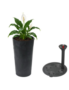 Blumenkübel rund L hoch Ø25 × 47 cm Beton-Optik mit Bewässerungssystem, 21 L – Beton Schwarz
