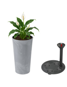 Fioriera rotonda L alta Ø25 × 47 cm effetto cemento con sistema di irrigazione, 21 L – Grigio cemento