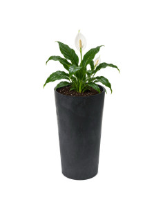 Blumenkübel rund L hoch Ø25 × 47 cm Beton-Optik, 21 L – Beton Schwarz