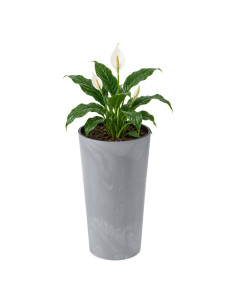 Macetero redondo L alto Ø25 × 47 cm efecto hormigón, 21 L – Gris hormigón