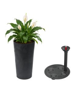 Blumenkübel rund XL hoch Ø29 × 57 cm Beton-Optik mit Bewässerungssystem, 28,4 L – Beton Schwarz