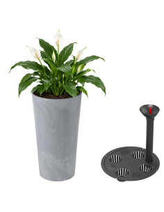 Fioriera rotonda XL alta Ø29 × 57 cm effetto cemento con sistema di irrigazione, 28,4 L – Grigio cemento