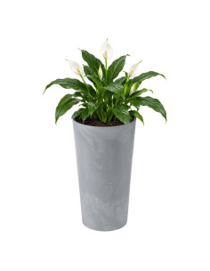 Fioriera rotonda XL alta Ø29 × 57 cm effetto cemento, 28,4 L – Grigio cemento
