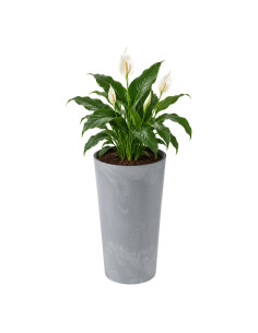 Plantenbak rond XXL hoog Ø40 × 75 cm betonlook, 76 L – Betongrijs