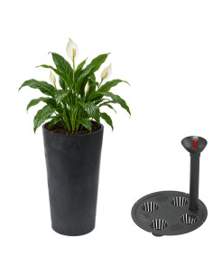 Pot haut rond XXL Ø40 × 75 cm aspect béton avec système d'arrosage, 76 L – Béton noir
