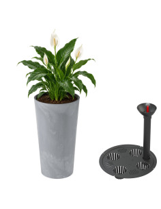 Macetero redondo XXL alto Ø40 × 75 cm efecto hormigón con sistema de riego, 76 L – Gris hormigón