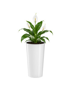 Fioriera rotonda L alta Ø25 × 47 cm lucida, 21 L – Bianco