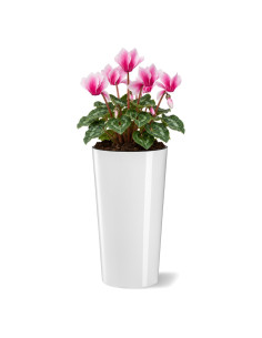 Fioriera rotonda M alta Ø20 × 37 cm lucida, 8,3 L – Bianco