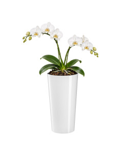 Macetero redondo XL alto Ø29 × 57 cm brillante, 28,4 L – Blanco