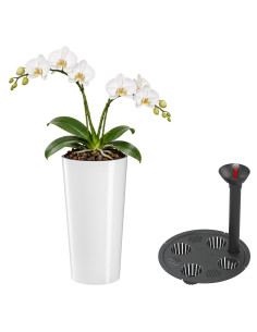 Blumenkübel rund XL hoch Ø29 × 57 cm Hochglanz mit Bewässerungssystem, 28,4 L – Weiß