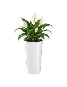 Pot haut rond XXL Ø40 × 75 cm brillant, 76 L – Blanc