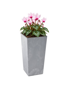 Fioriera quadrata M alta 19 × 19 × 36 cm effetto cemento, 11 L – Grigio cemento