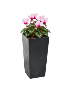 Macetero cuadrado M alto 19 × 19 × 36 cm efecto hormigón, 11 L – Negro hormigón