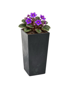 Blumenkübel eckig S hoch 13 × 13 × 26 cm Beton-Optik, 3,5 L – Beton Schwarz