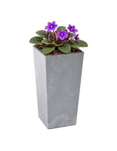 Fioriera quadrata S alta 13 × 13 × 26 cm effetto cemento, 3,5 L – Grigio cemento
