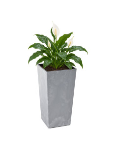 Pot haut carré XL 29 × 29 × 57 cm aspect béton, 40 L – Béton gris