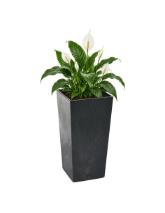 Blumenkübel eckig XL hoch 29 × 29 × 57 cm Beton-Optik, 40 L – Beton Schwarz