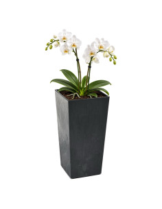 Plantenbak vierkant XXL hoog 34 × 34 × 67 cm betonlook, 58 L – Betonzwart