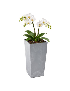 Plantenbak vierkant XXL hoog 34 × 34 × 67 cm betonlook, 58 L – Betongrijs