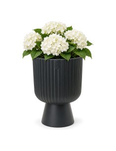 Plantenbak rond XXL hoog Ø39 × 57 cm, 42 L – Antraciet