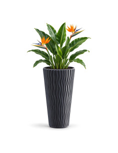 Pot haut rond 3XL Ø37 × 71 cm à relief ondulé, 45 L – Anthracite