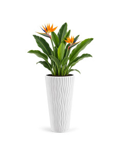 Blumenkübel rund 3XL hoch Ø37 × 71 cm Wellenrelief, 45 L – Weiß