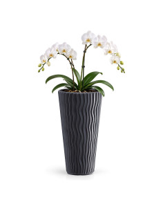 Plantenbak rond XXL hoog Ø34 × 61 cm golfreliëf, 37 L – Antraciet | Töpferkönig