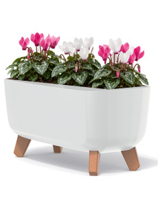Plantenschaal op pootjes 39 × 19 × 19 cm mat, 8,5 L – Wit | Töpferkönig