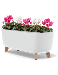 Plantenschaal op pootjes 57 × 23 × 24 cm mat, 19,5 L – Wit | Töpferkönig