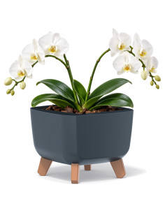 Cuenco para plantas cuadrado con patas 23 × 23 × 19 cm mate, 6 L – Antracita | Töpferkönig