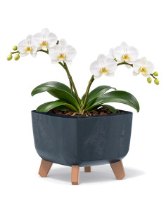 Pflanzschale eckig mit Füßen 23 × 23 × 19 cm Beton-Optik, 6 L – Beton Anthrazit | Töpferkönig