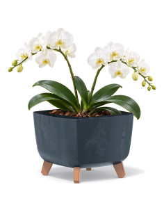 Ciotola per piante quadrata con piedini 29 × 29 × 22 cm effetto cemento, 11 L – Antracite cemento | Töpferkönig