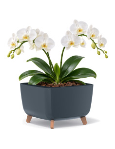 Vasque carrée sur pieds 38 × 38 × 27 cm mate, 25 L – Anthracite | Töpferkönig