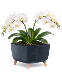 Pflanzschale eckig mit Füßen 38 × 38 × 27 cm Beton-Optik, 25 L – Beton Anthrazit | Töpferkönig