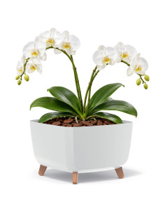 Ciotola per piante quadrata con piedini 38 × 38 × 27 cm opaca, 25 L – Bianco | Töpferkönig