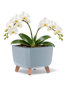Ciotola per piante quadrata con piedini 29 × 29 × 22 cm opaca, 11 L – Grigio | Töpferkönig