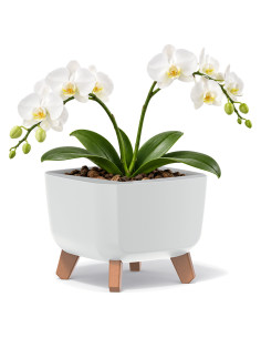 Plantenschaal vierkant op pootjes 23 × 23 × 19 cm mat, 6 L – Wit | Töpferkönig