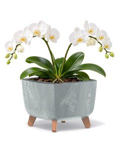 Ciotola per piante quadrata con piedini 29 × 29 × 22 cm effetto cemento, 11 L – Grigio cemento | Töpferkönig