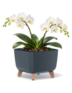 Plantenschaal vierkant op pootjes 29 × 29 × 22 cm mat, 11 L – Antraciet | Töpferkönig
